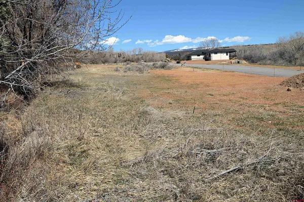 a view of a yard with a yard