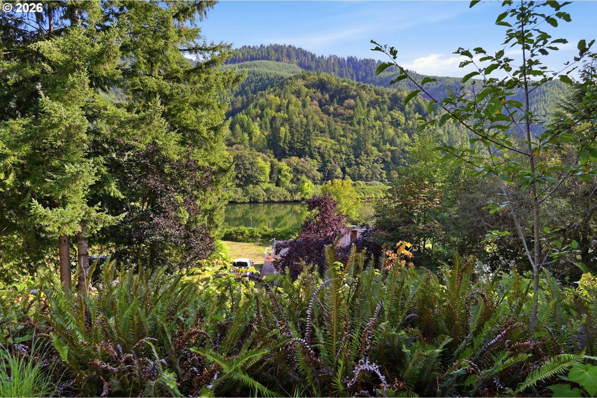 0 Sweet Creek Road Mapleton, OR 97453 - Photo 12 of 29 Gallery Image 12