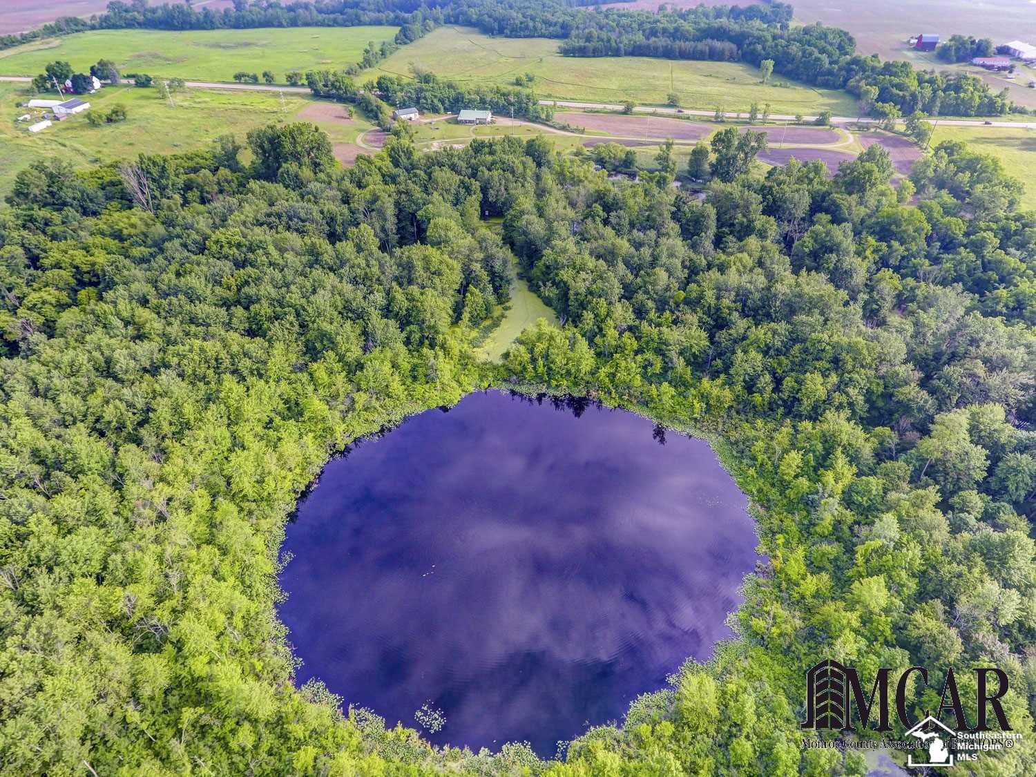 12695 West Carleton Road Clayton, MI 49235 - Photo 36 of 38 Spring fed lake