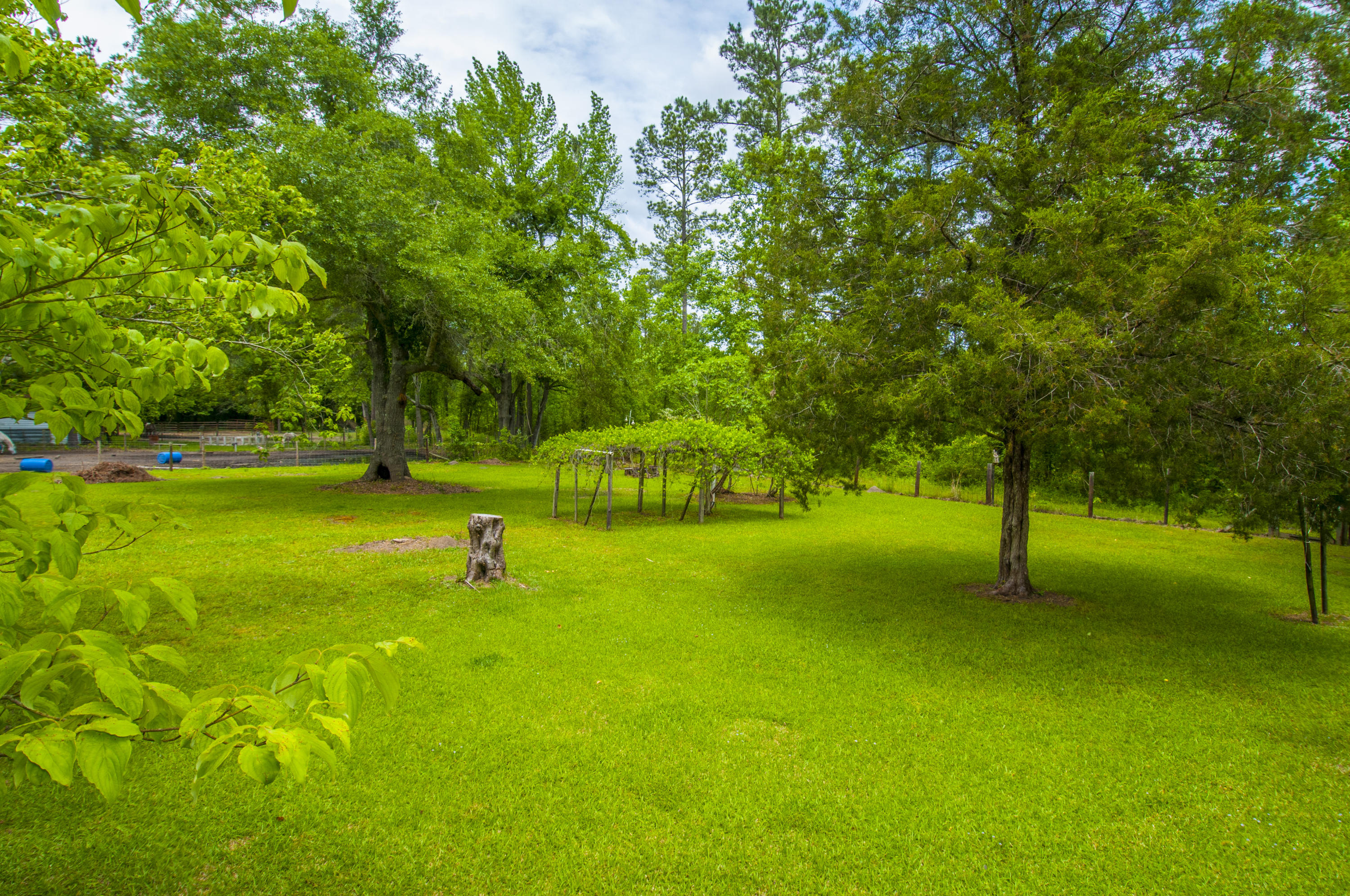 9295 Old State Road Holly Hill, SC 29059 - Photo 27 of 39 _DSC7832