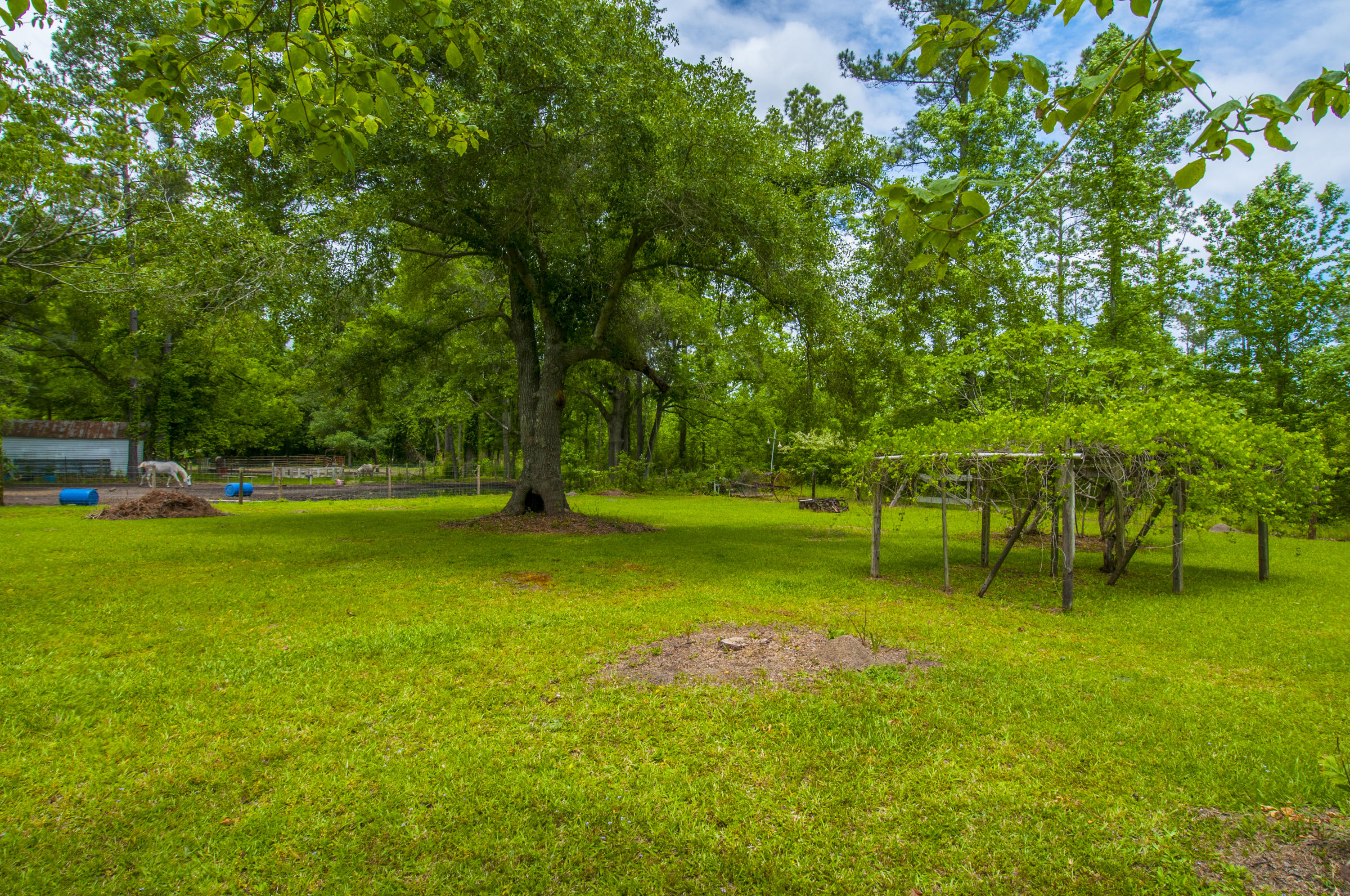 9295 Old State Road Holly Hill, SC 29059 - Photo 28 of 39 _DSC7833