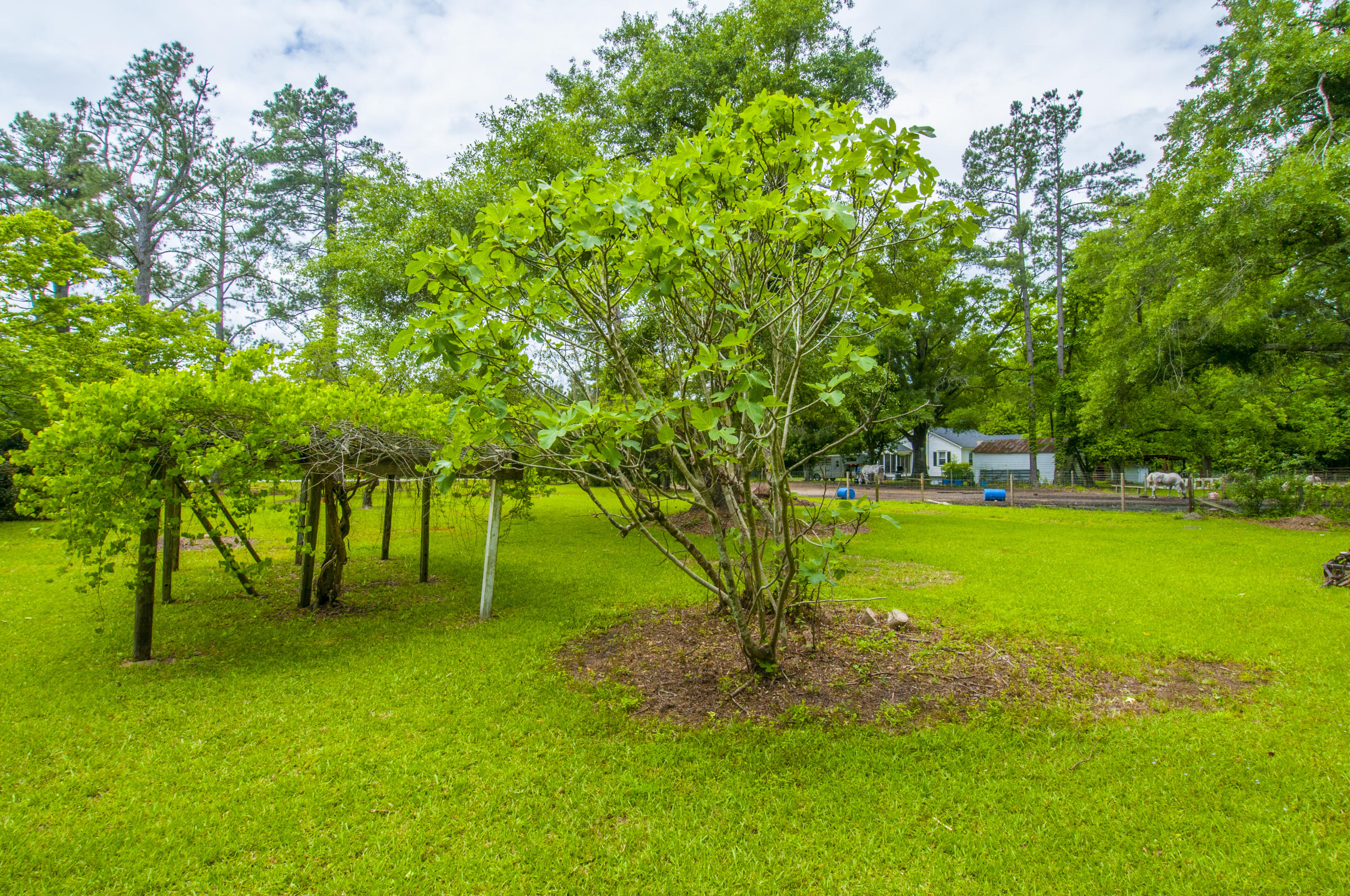 9295 Old State Road Holly Hill, SC 29059 - Photo 30 of 39 _DSC7836