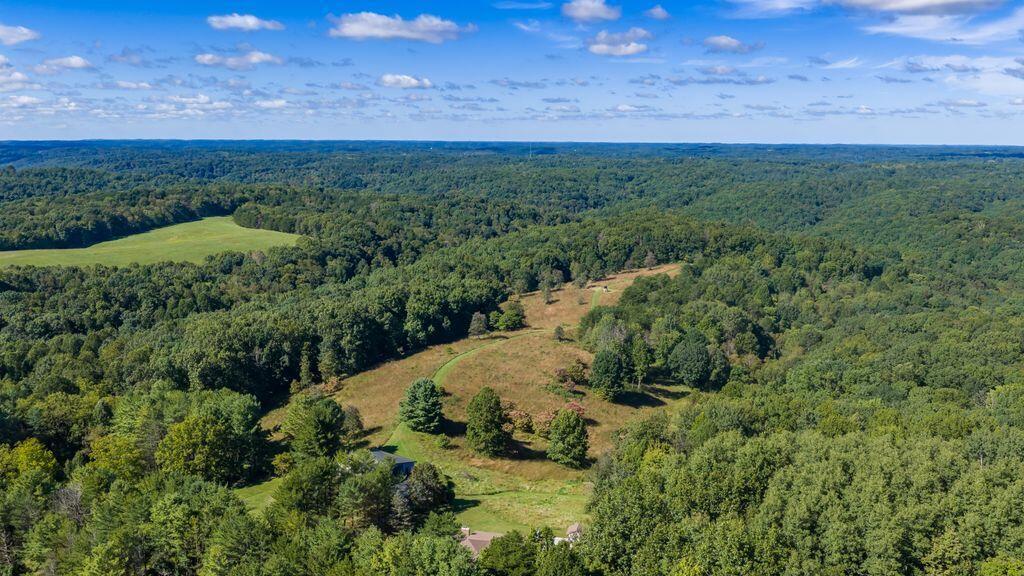 24603 Potter Ridge Road Creola, OH 45622 - Photo 95 of 99 24603 Potter Ridge Drone00015