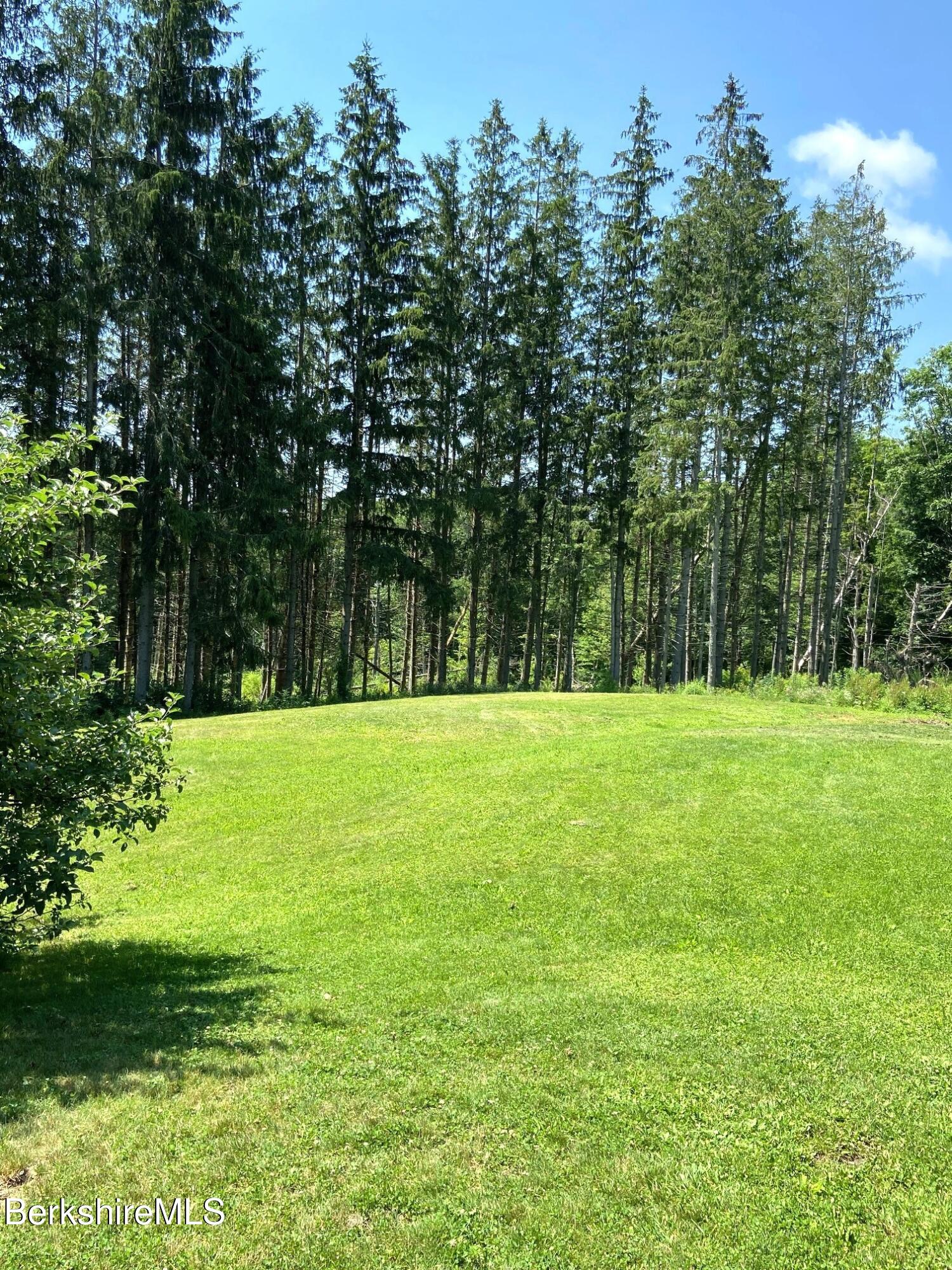 201 Weaver Dam Road Petersburg, NY 12138 - Photo 31 of 32 Side yard