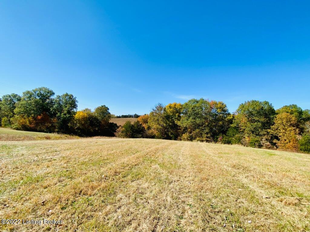 100 Burchett Lane Springfield, KY 40069 - Photo 6 of 40 IMG_0752