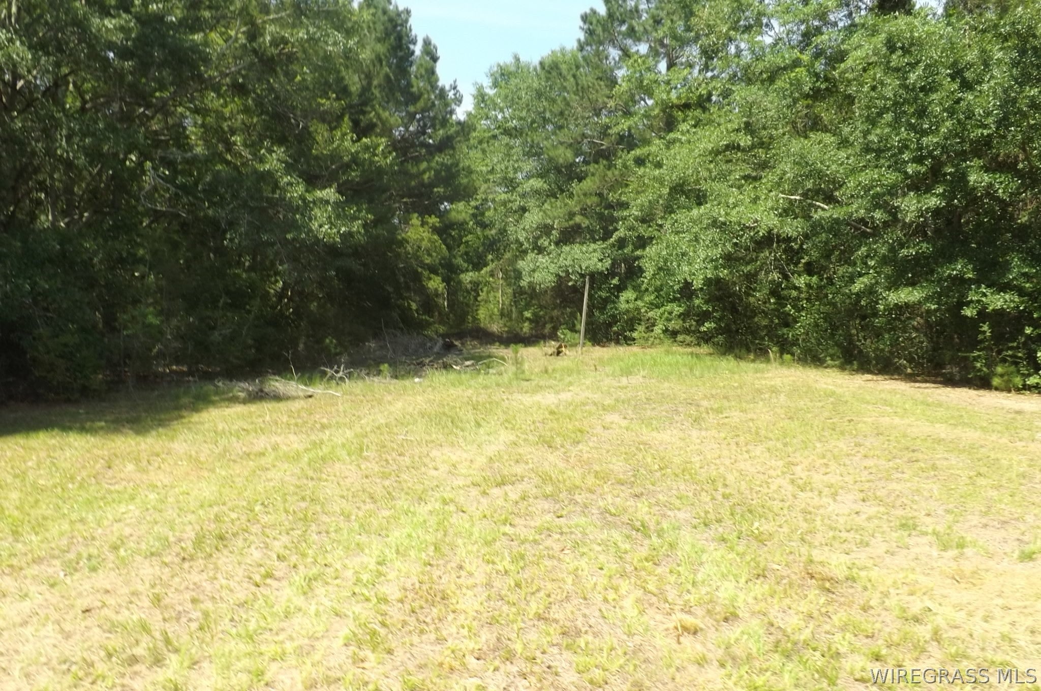 30091 County Line Loop Opp, AL 36467 - Photo 23 of 23 Gallery Image 23