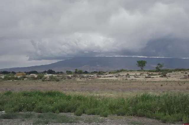 a view of a field with trees in background