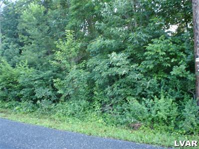 0 Chester Road Germansville, PA 18053 - Photo 1 of 2 Gallery Image 1