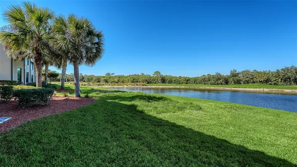 a view of a swimming pool and trees in the background