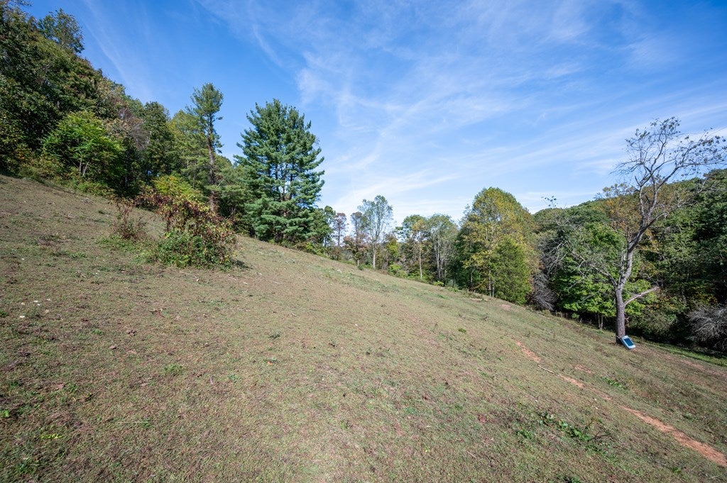 749 Knight Road Rural Retreat, VA 24368 - Photo 44 of 76 Gallery Image 44