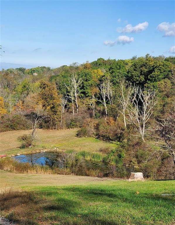 189 Seal Road Eighty Four, PA 15330 - Photo 45 of 46
