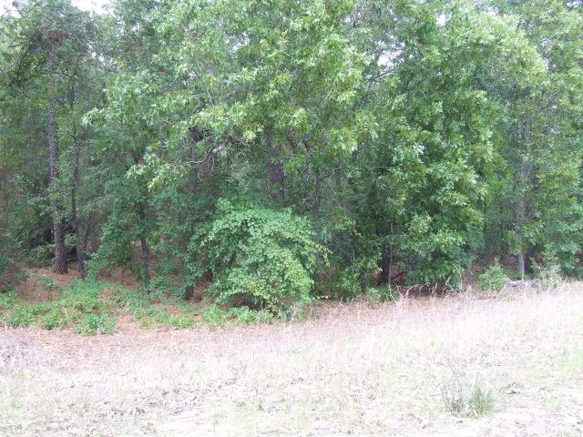 $22,500 | 1412 Old State Road, Gaston, SC 29053