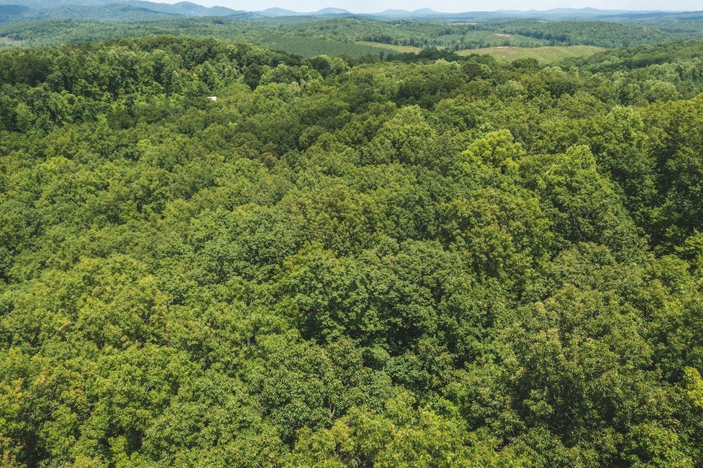 Tbd Lee Elgin Road, Unit 481797C Woolwine, VA 24185 - Photo 3 of 7 Gallery Image 3