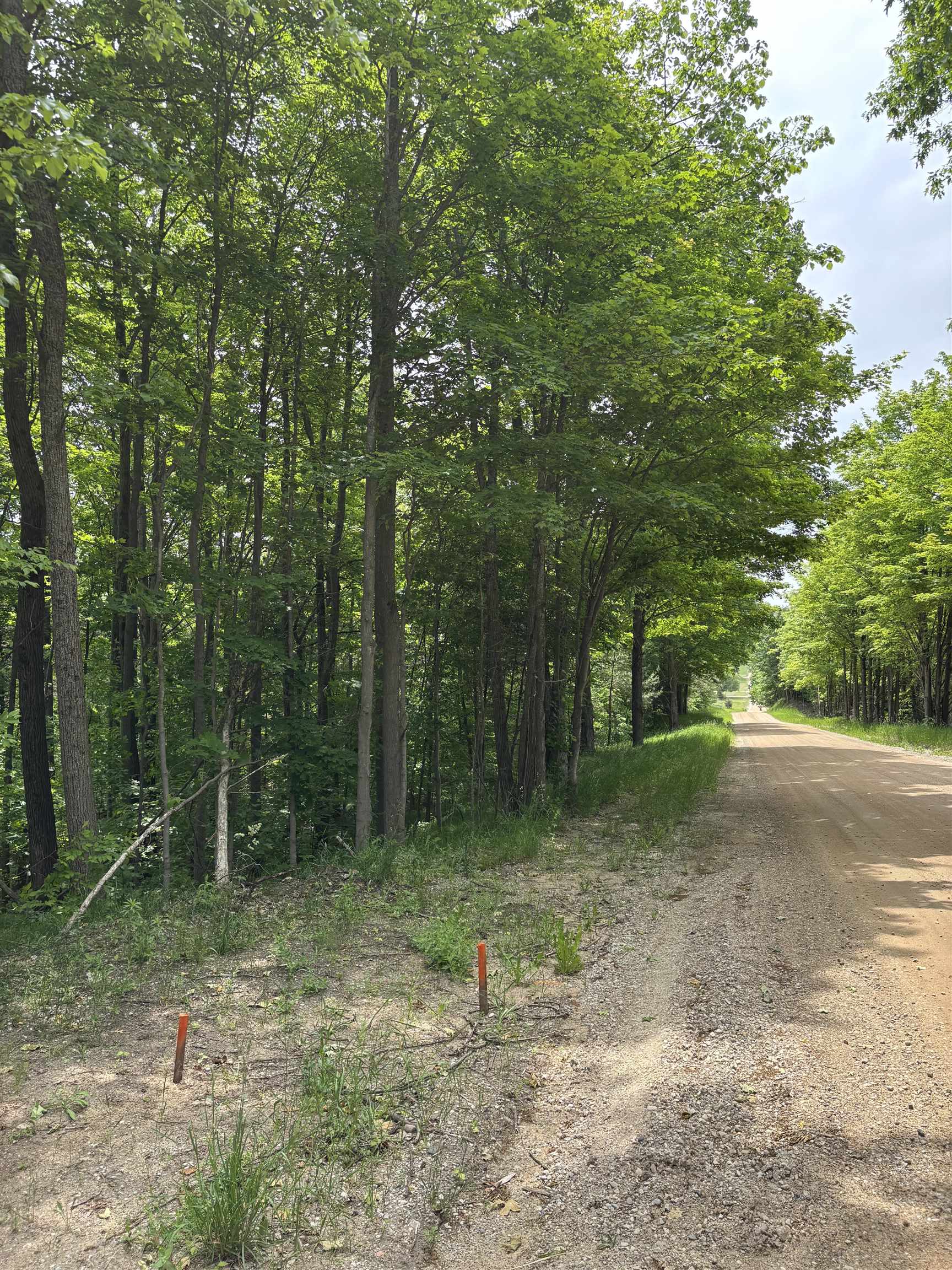 Parcel A North Parcel A N 45th Road Manton, MI 49663 - Photo 6 of 12