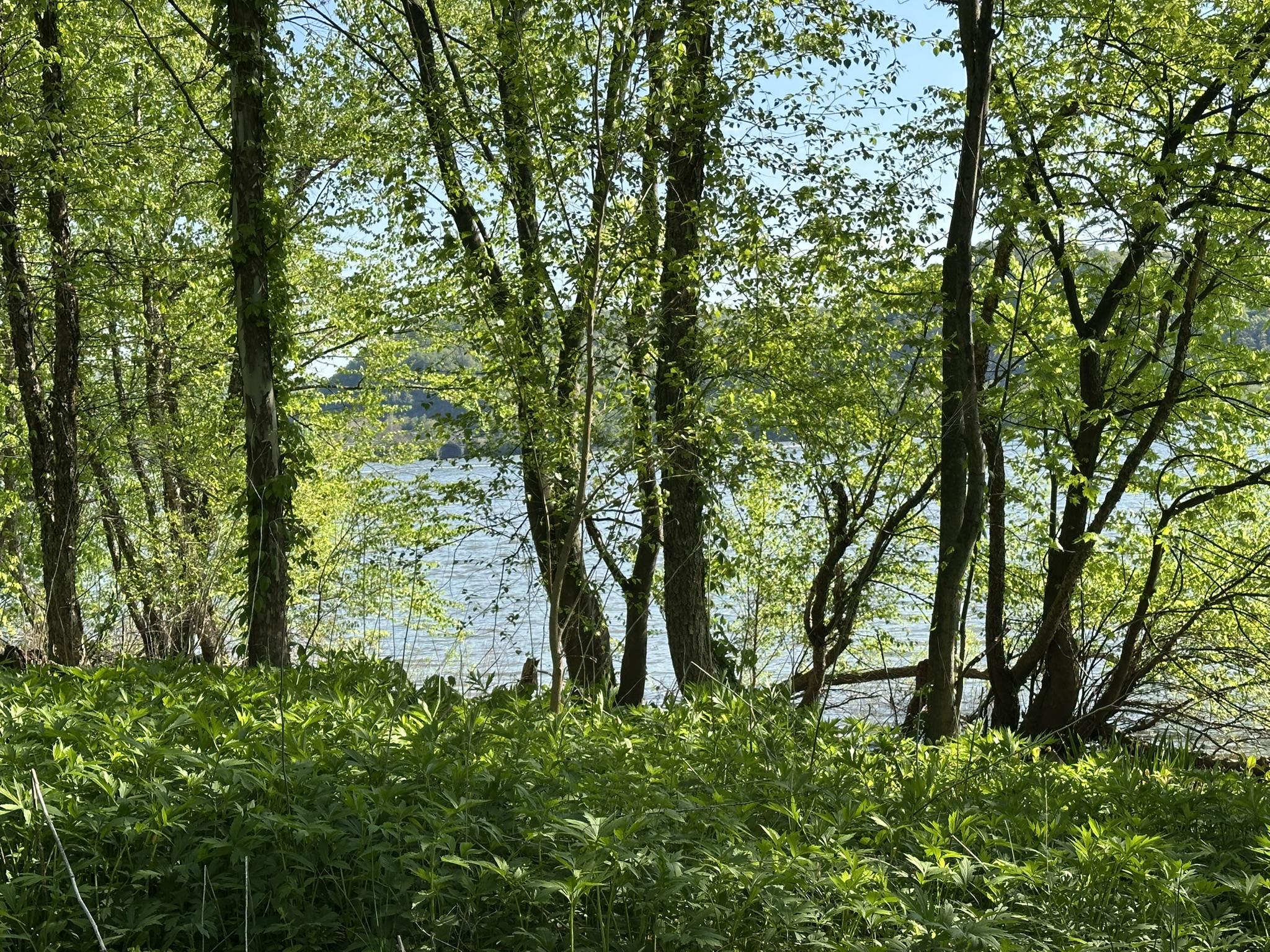 River Road Marysville, PA 17053 - Photo 3 of 11
