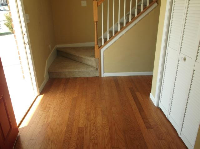 7709 Applecross Road Corryton, TN 37721 - Photo 15 of 17 Foyer -1