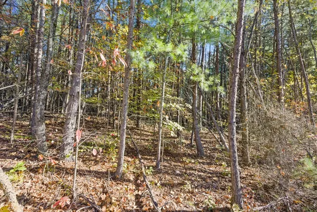 $39,000 | Lot 73 Mountain View Road, McCaysville, GA 30555