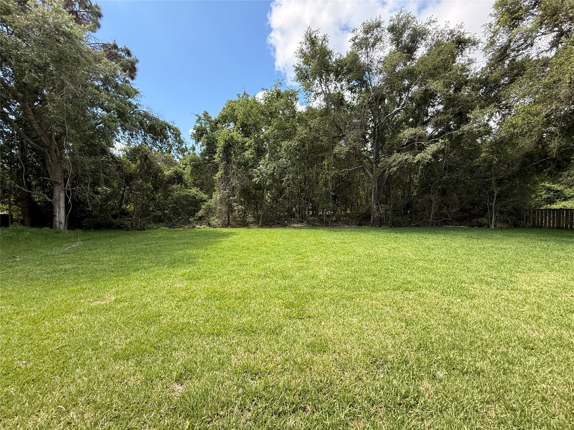 96130 Captains Pointe Road Yulee, FL 32097 - Photo 27 of 32 a view of a green yard