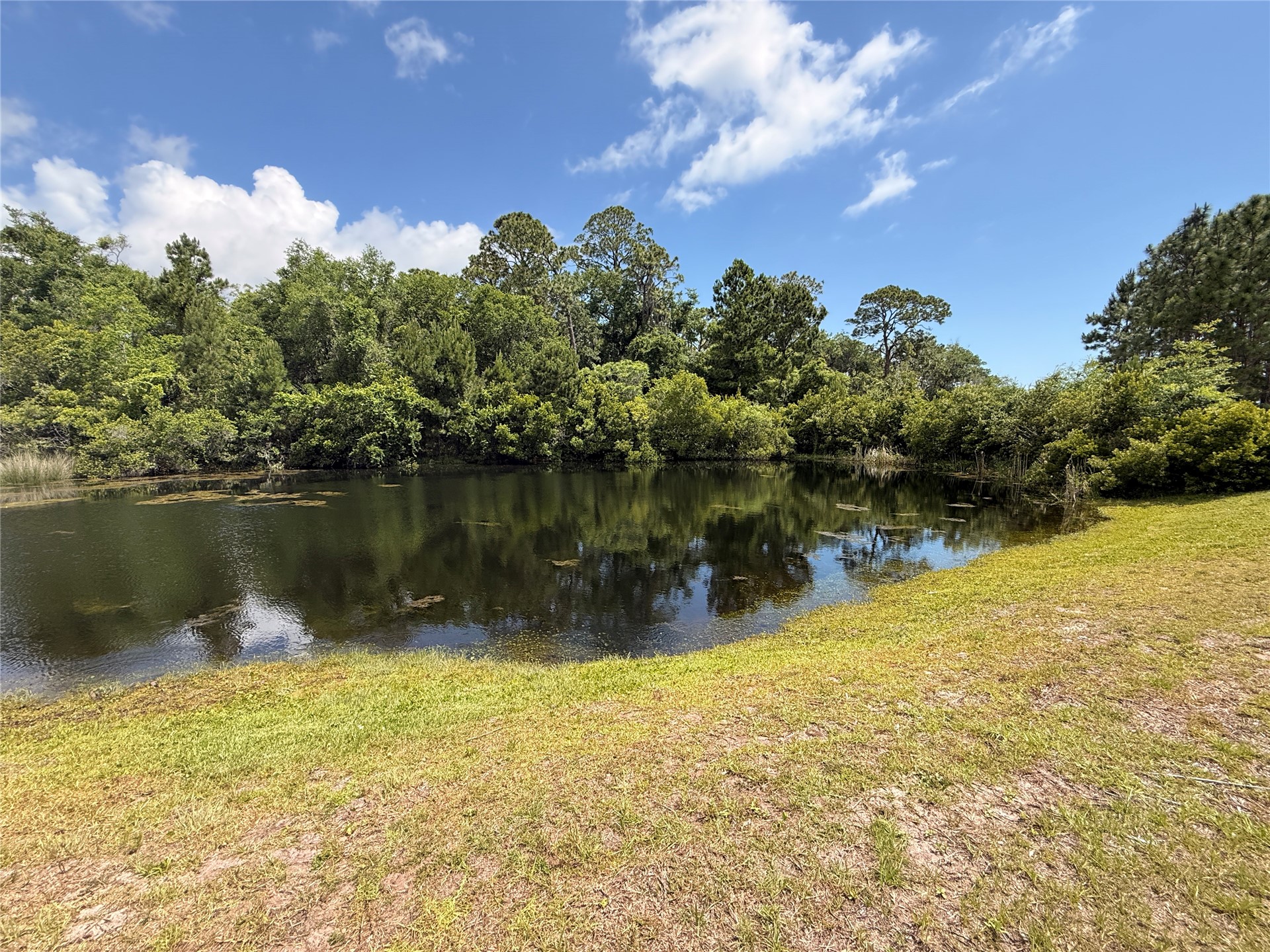 96130 Captains Pointe Road Yulee, FL 32097 - Photo 32 of 32 a view of a lake in middle of forest