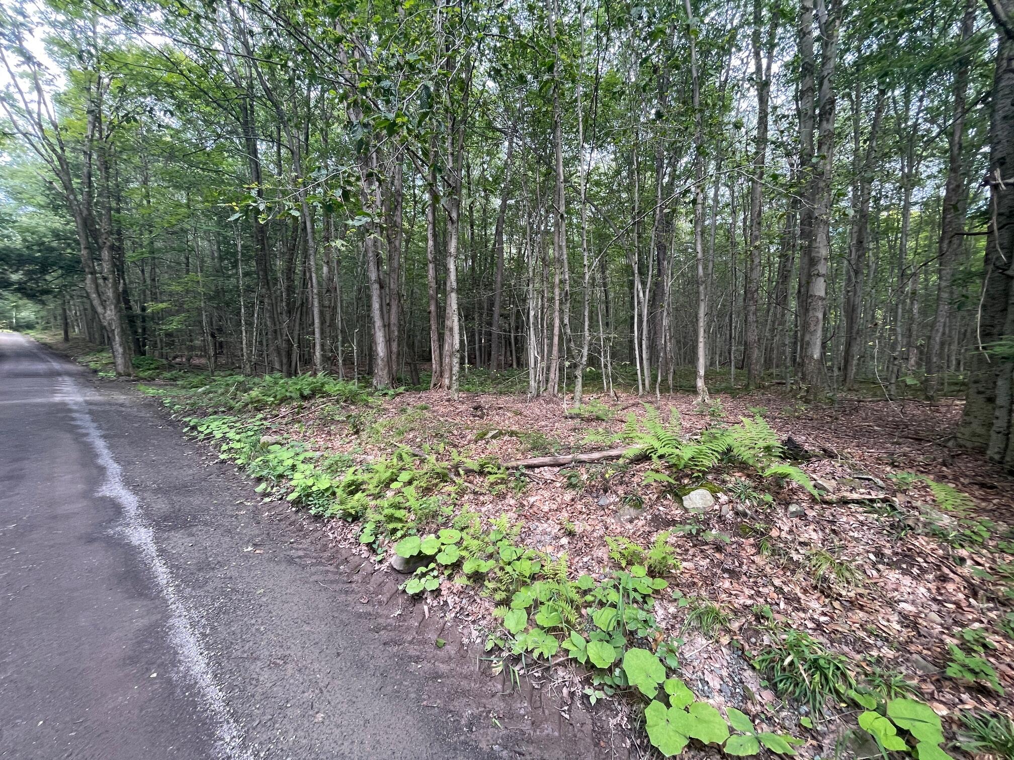 Lot 45 Gardner Road Newfoundland, PA 18445 - Photo 2 of 5 Street View