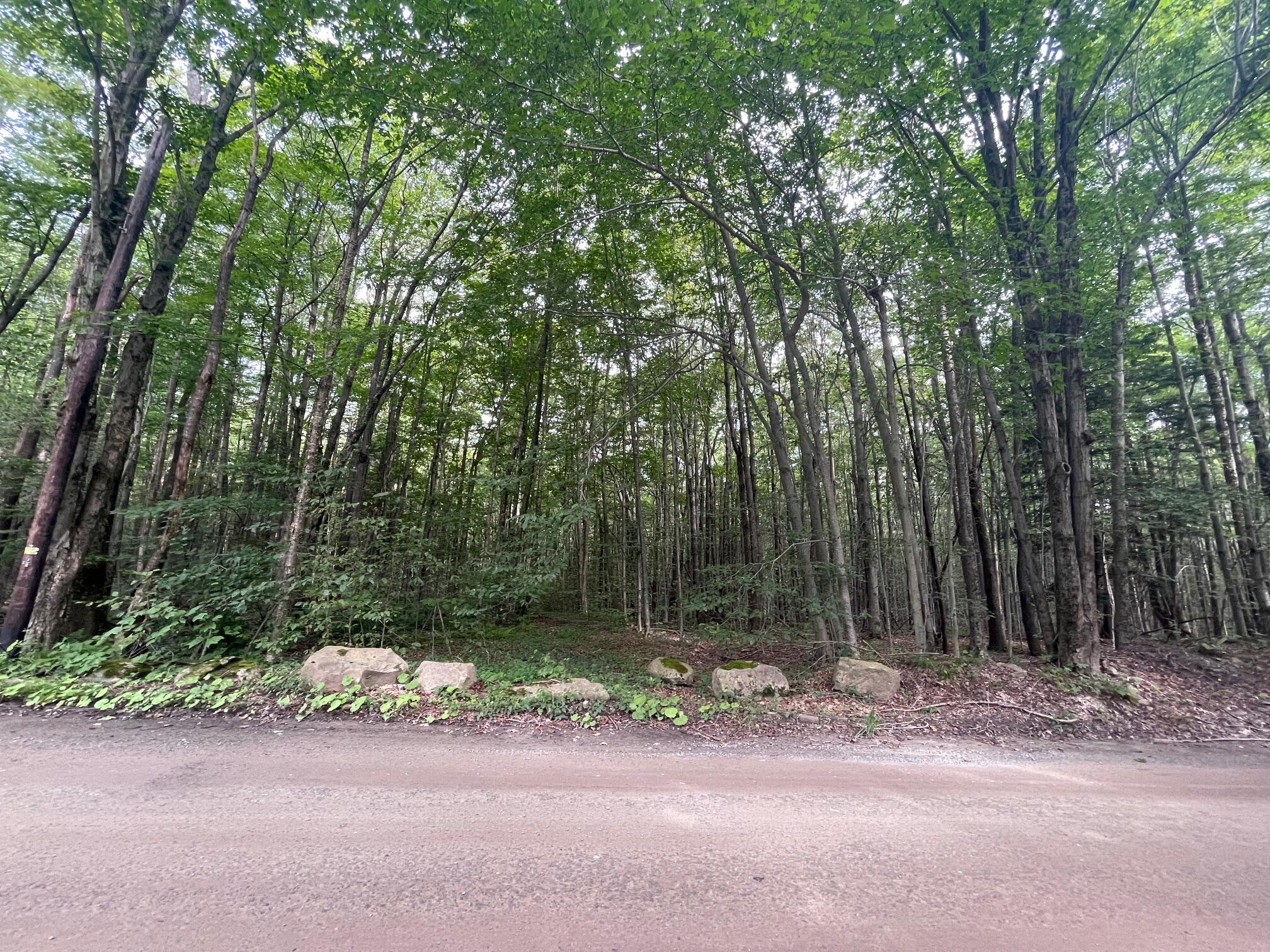 Lot 45 Gardner Road Newfoundland, PA 18445 - Photo 5 of 5 street view
