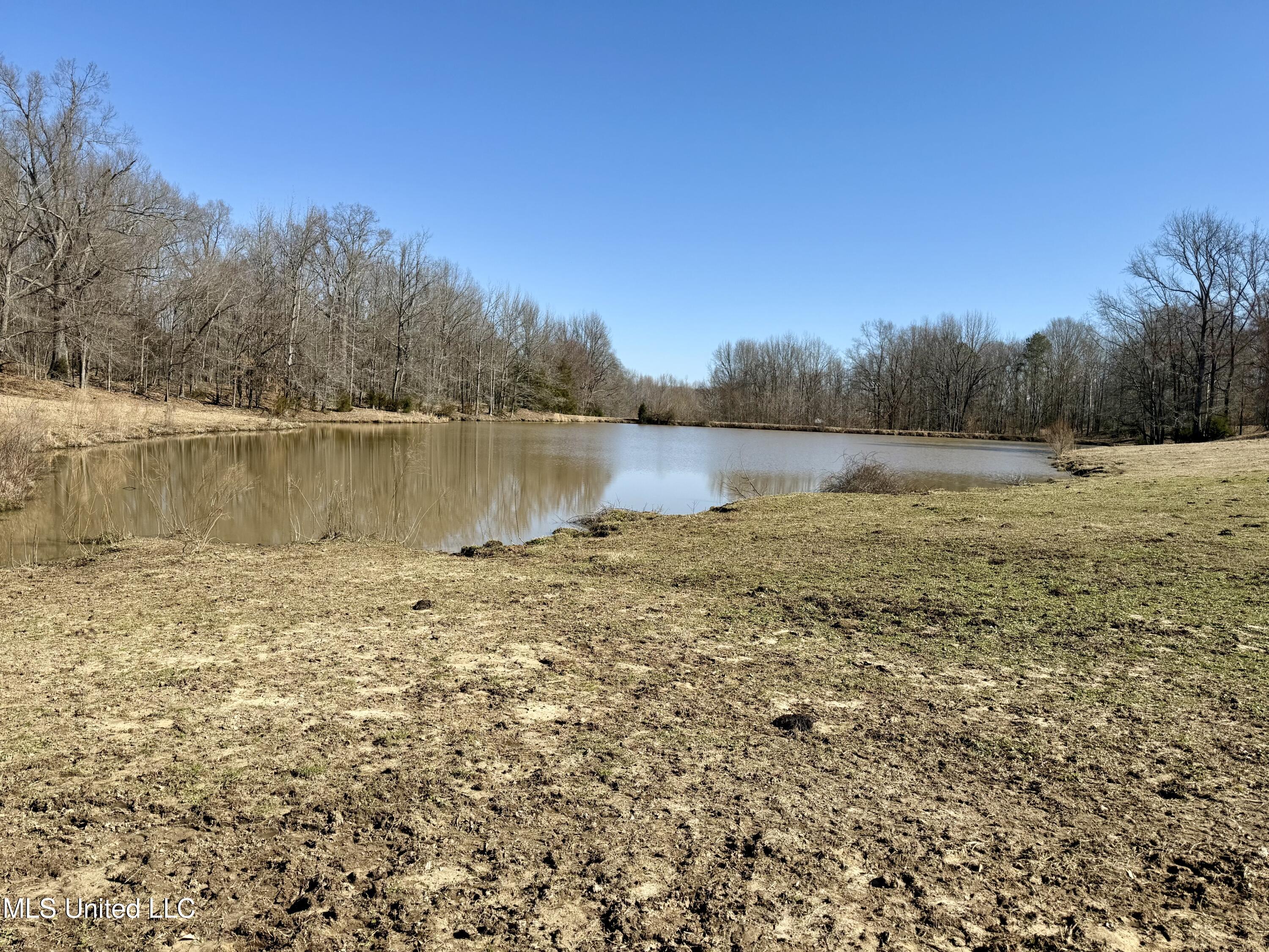 Franks Road Coldwater, MS 38618 - Photo 1 of 24 Pond