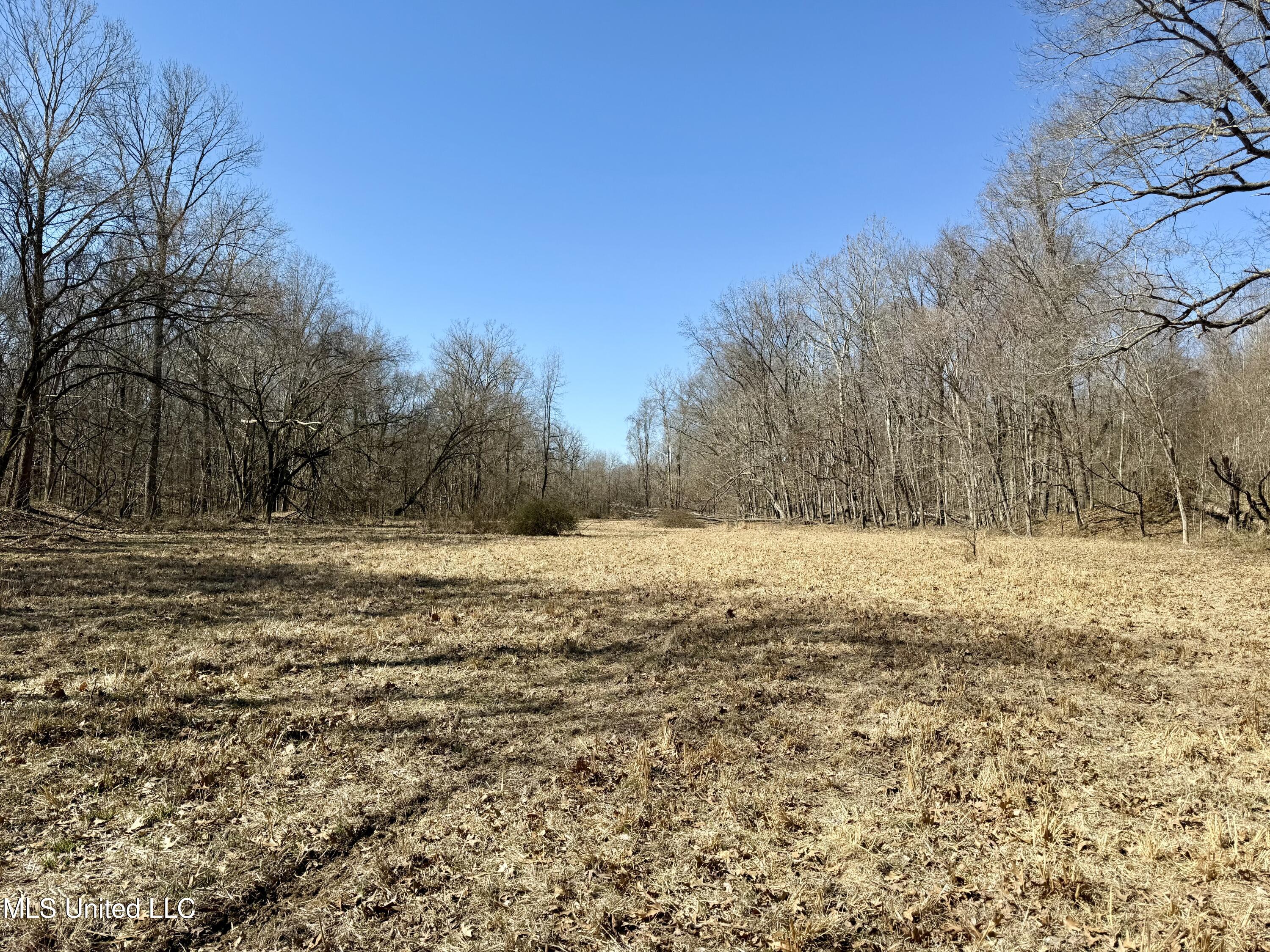 Franks Road Coldwater, MS 38618 - Photo 11 of 24 IMG_0601