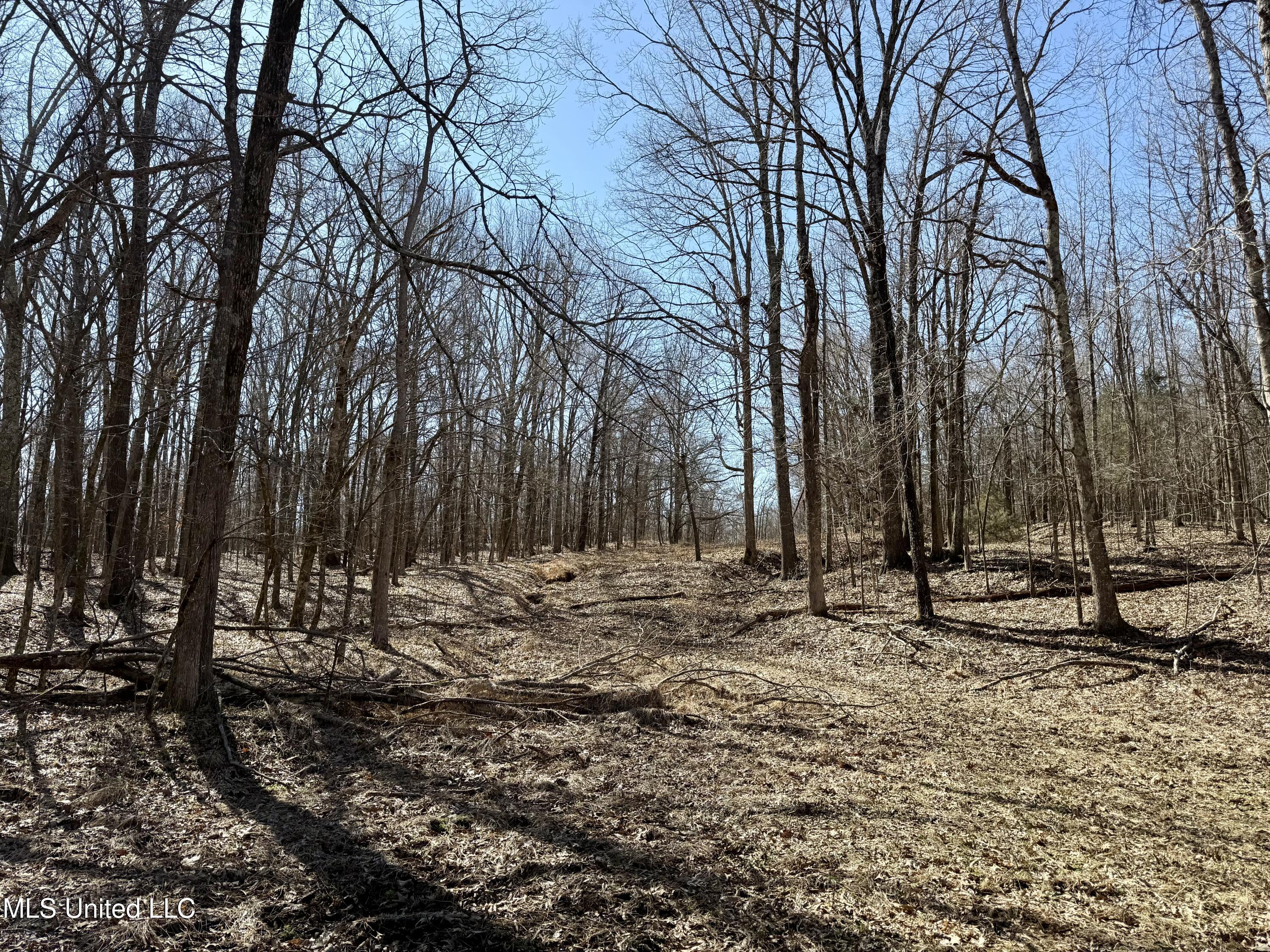 Franks Road Coldwater, MS 38618 - Photo 12 of 24 IMG_0602