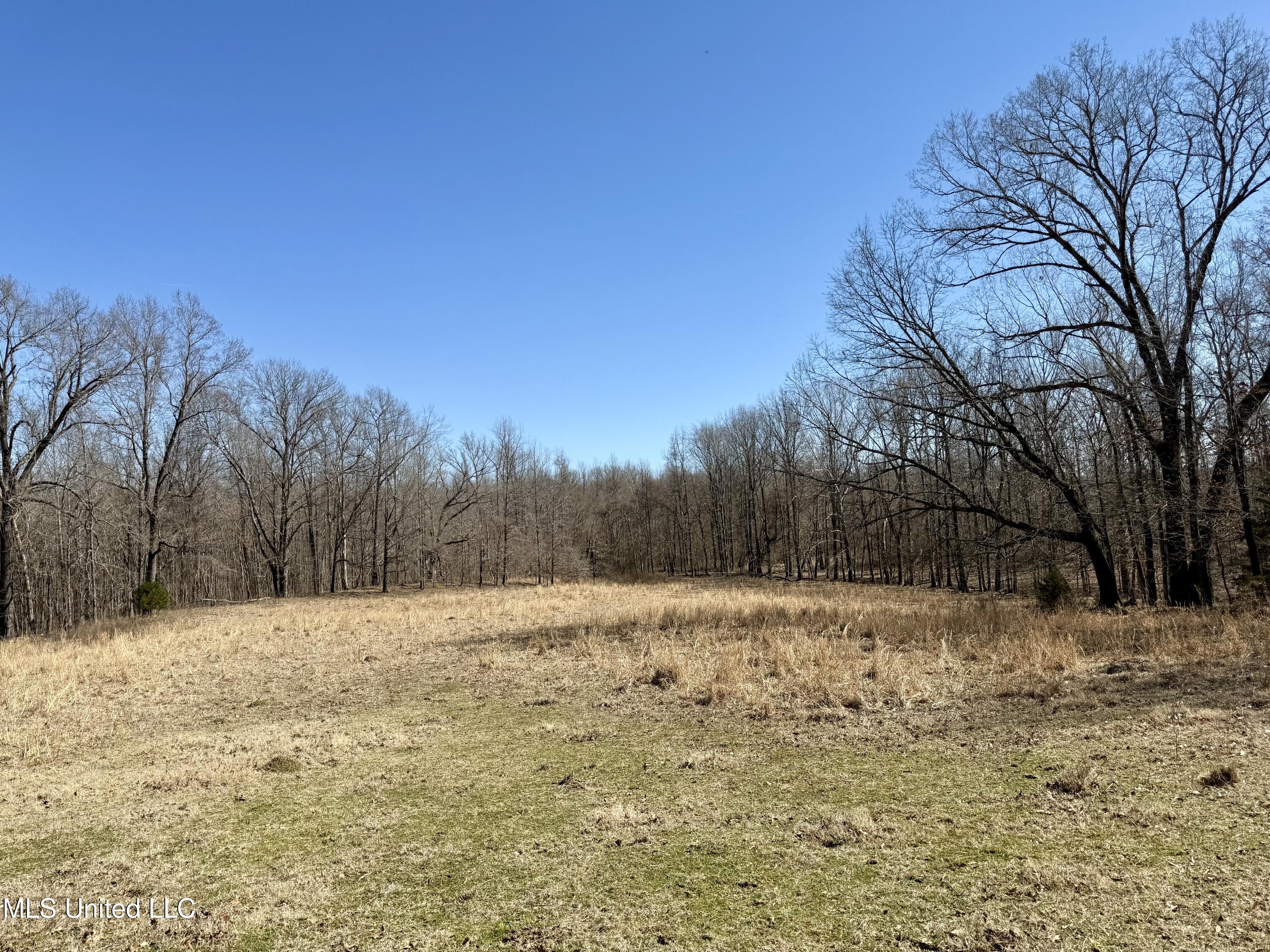 Franks Road Coldwater, MS 38618 - Photo 14 of 24 IMG_0604