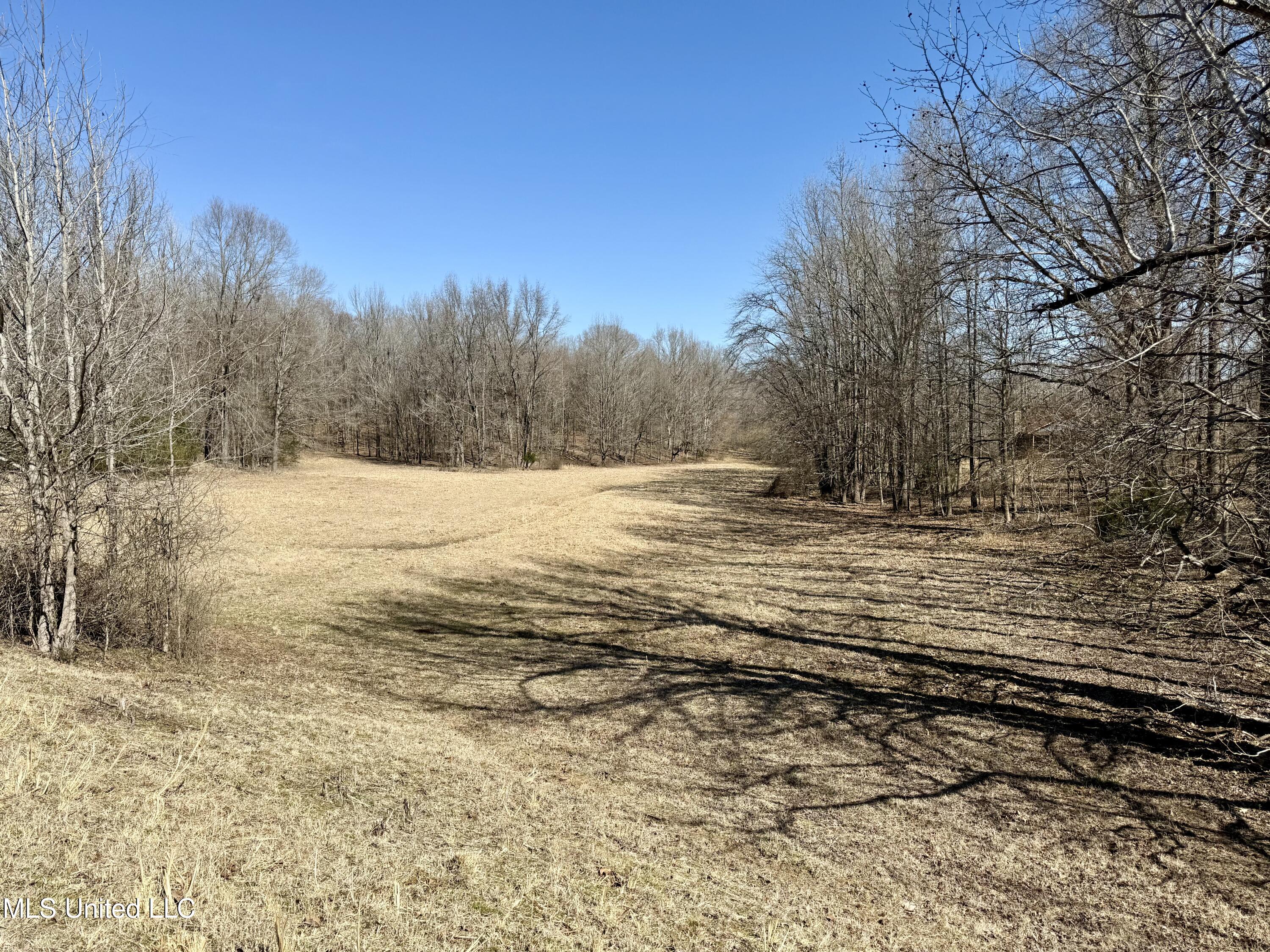 Franks Road Coldwater, MS 38618 - Photo 16 of 24 IMG_0606