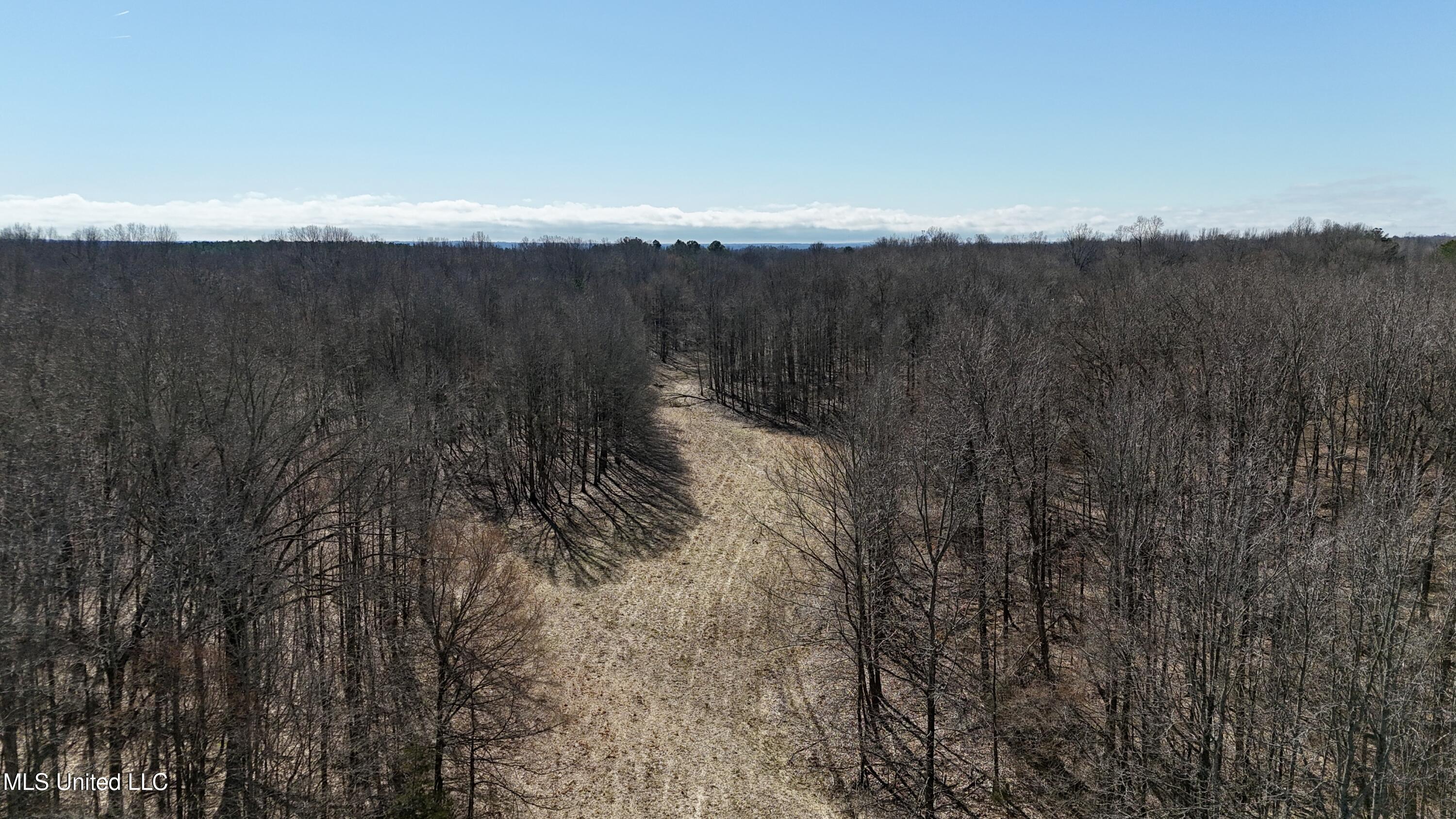 Franks Road Coldwater, MS 38618 - Photo 18 of 24 dji_fly_20250219_231428_0024_17404165541
