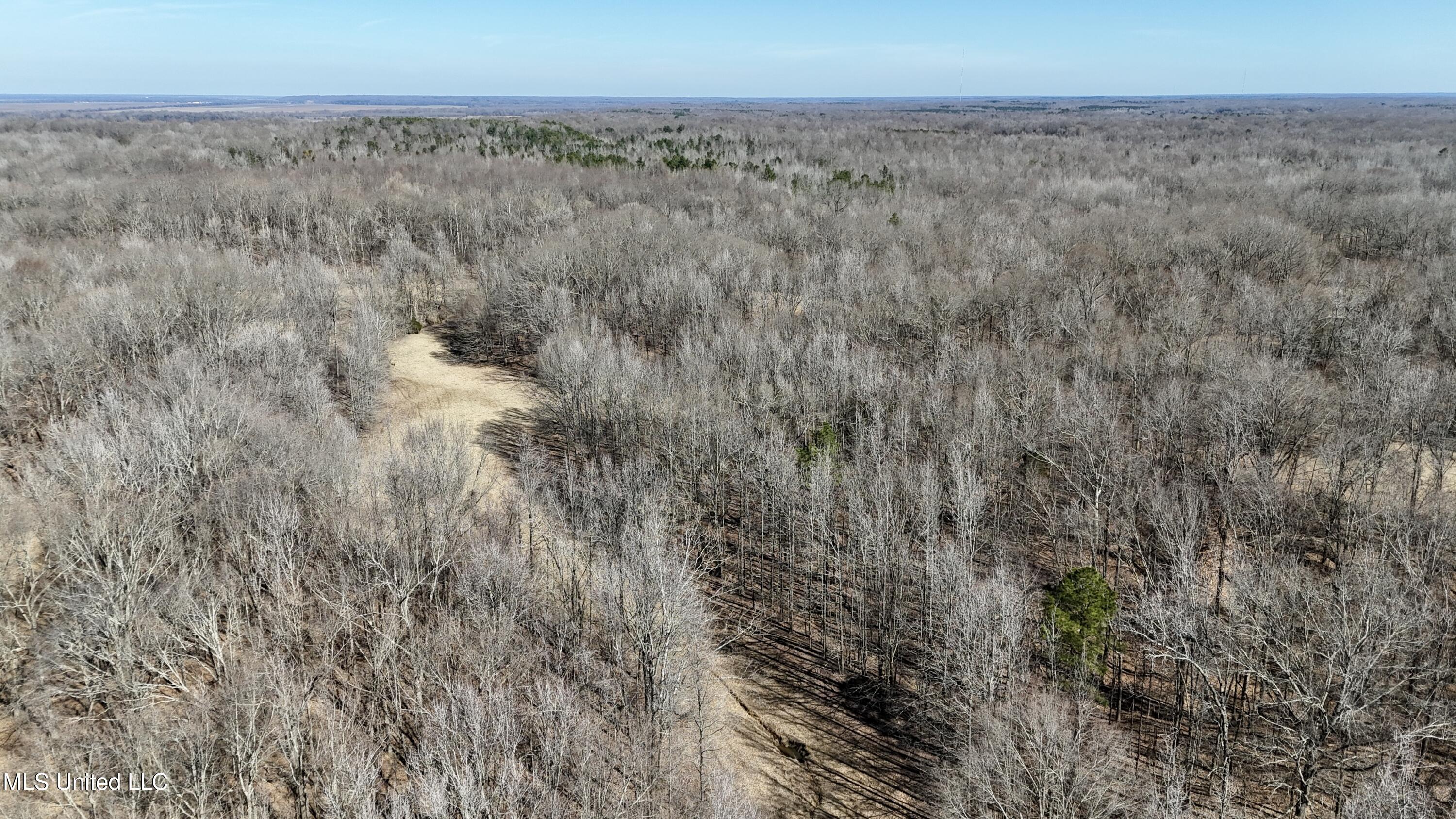 Franks Road Coldwater, MS 38618 - Photo 19 of 24 dji_fly_20250219_231514_0025_17404165538
