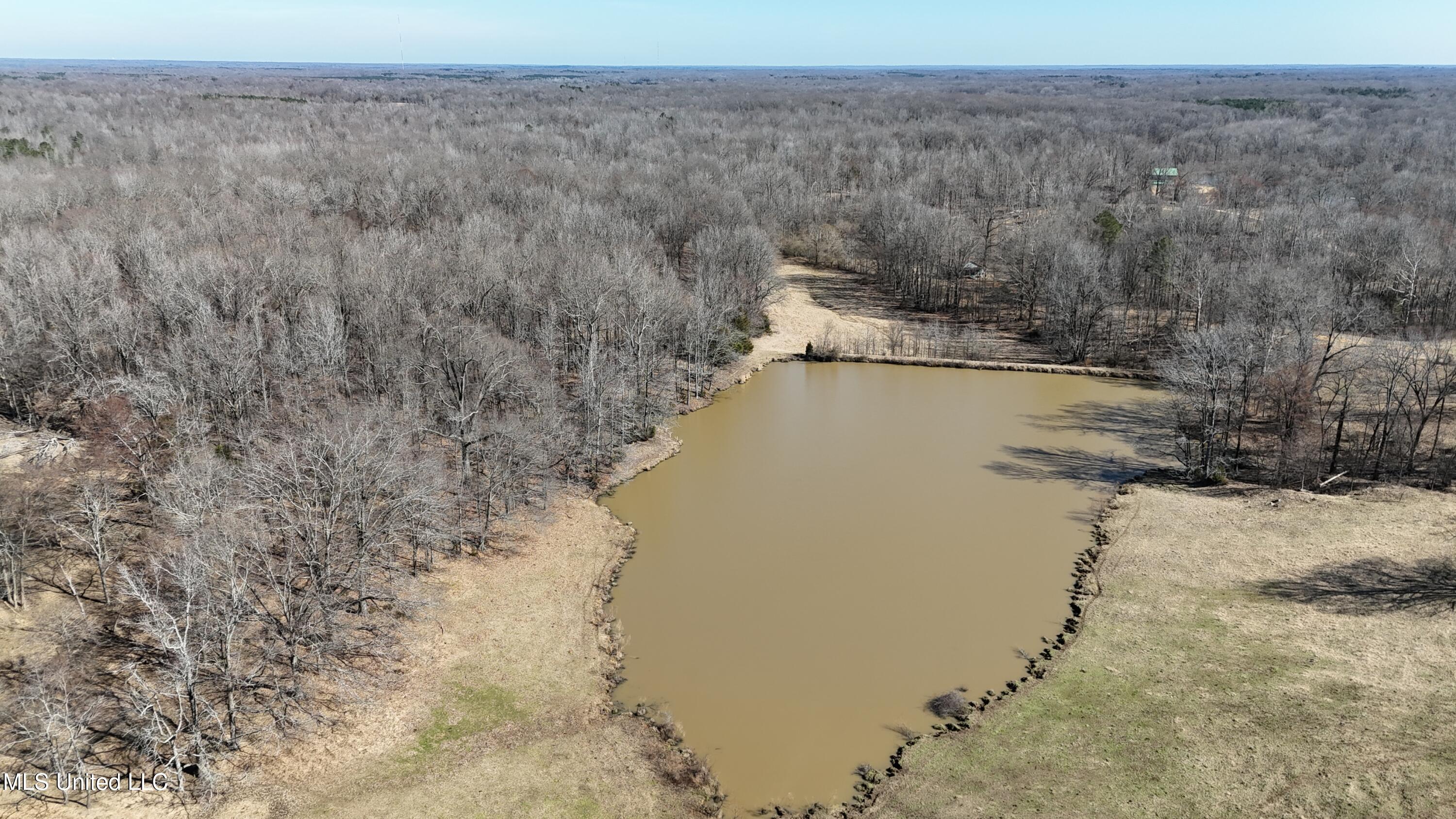 Franks Road Coldwater, MS 38618 - Photo 20 of 24 dji_fly_20250219_231540_0026_17404165535