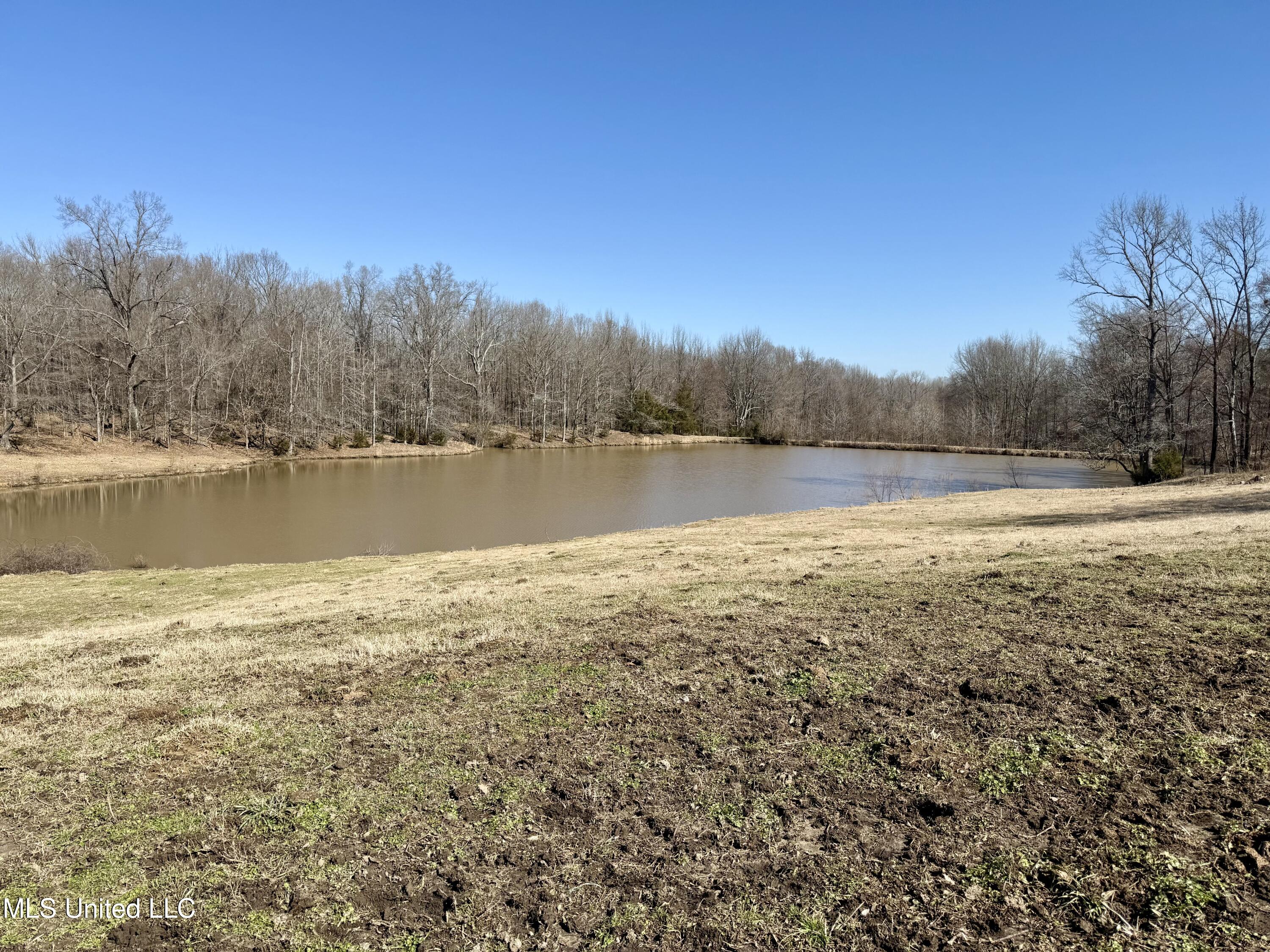 Franks Road Coldwater, MS 38618 - Photo 2 of 24 IMG_0586