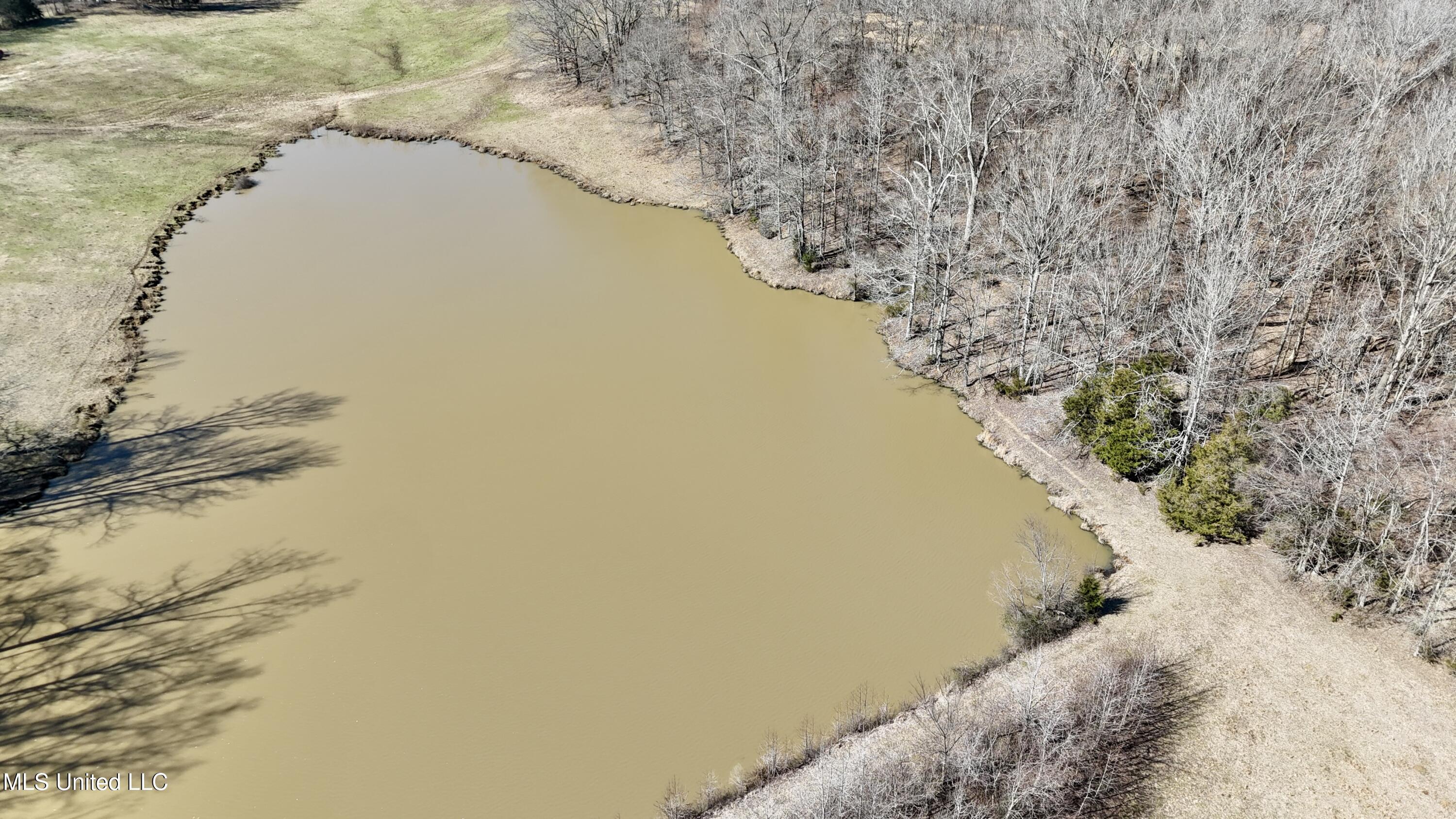 Franks Road Coldwater, MS 38618 - Photo 21 of 24 dji_fly_20250219_231628_0028_17404165528