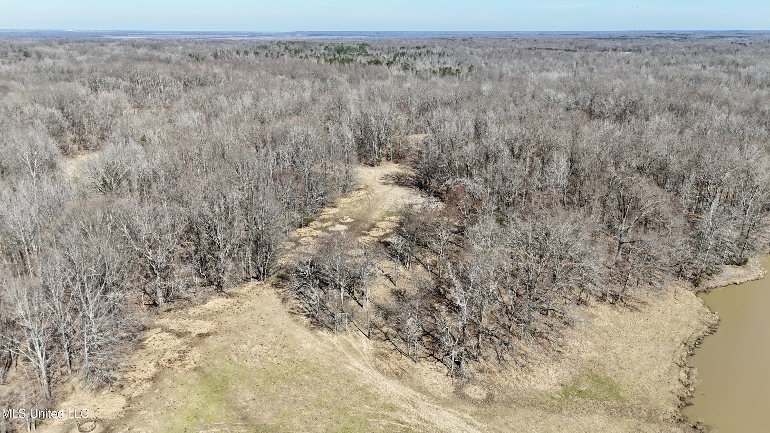 Franks Road Coldwater, MS 38618 - Photo 22 of 24 dji_fly_20250219_231544_0027_17404165531