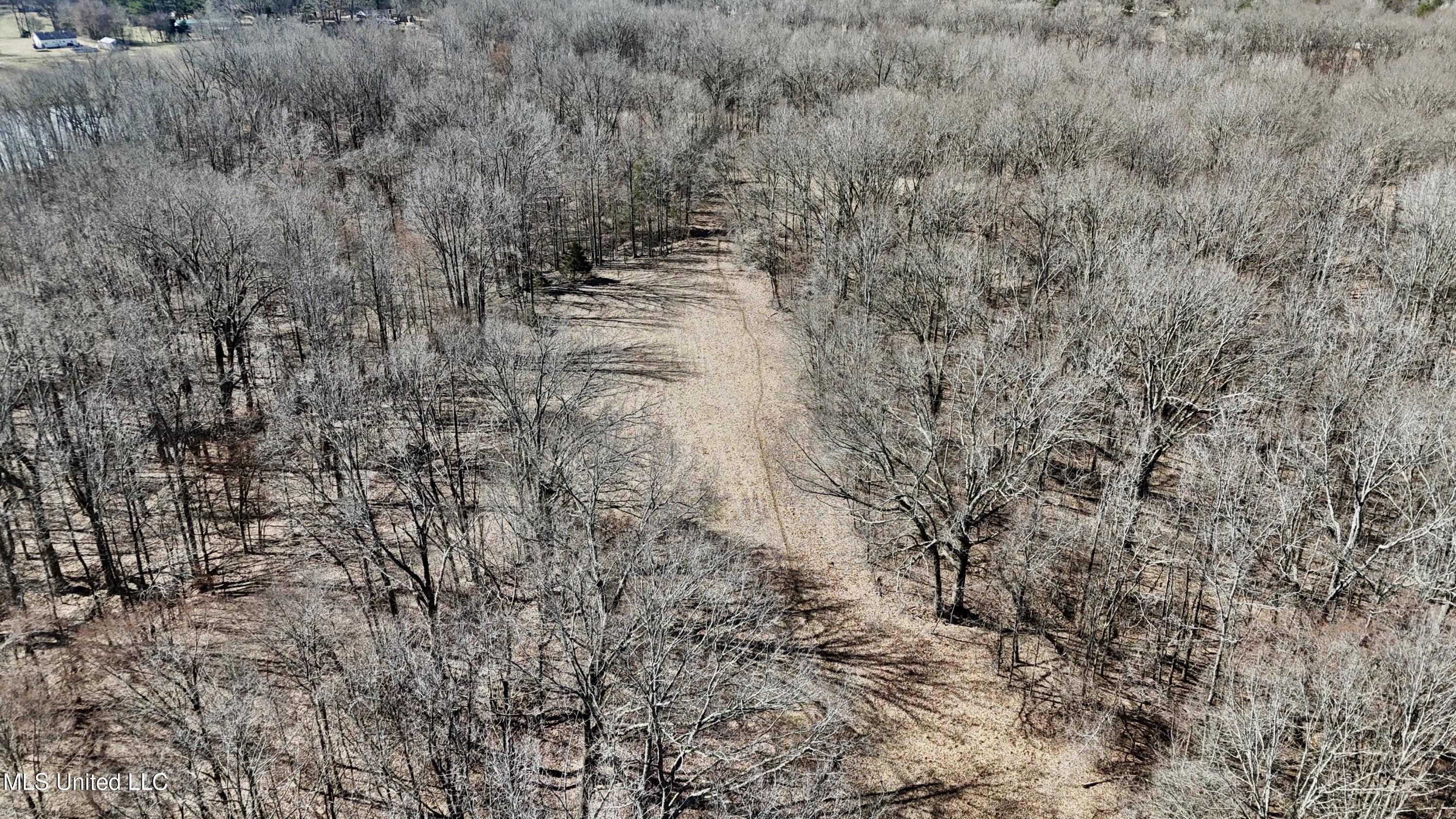 Franks Road Coldwater, MS 38618 - Photo 24 of 24 dji_fly_20250219_231726_0030_17404165520