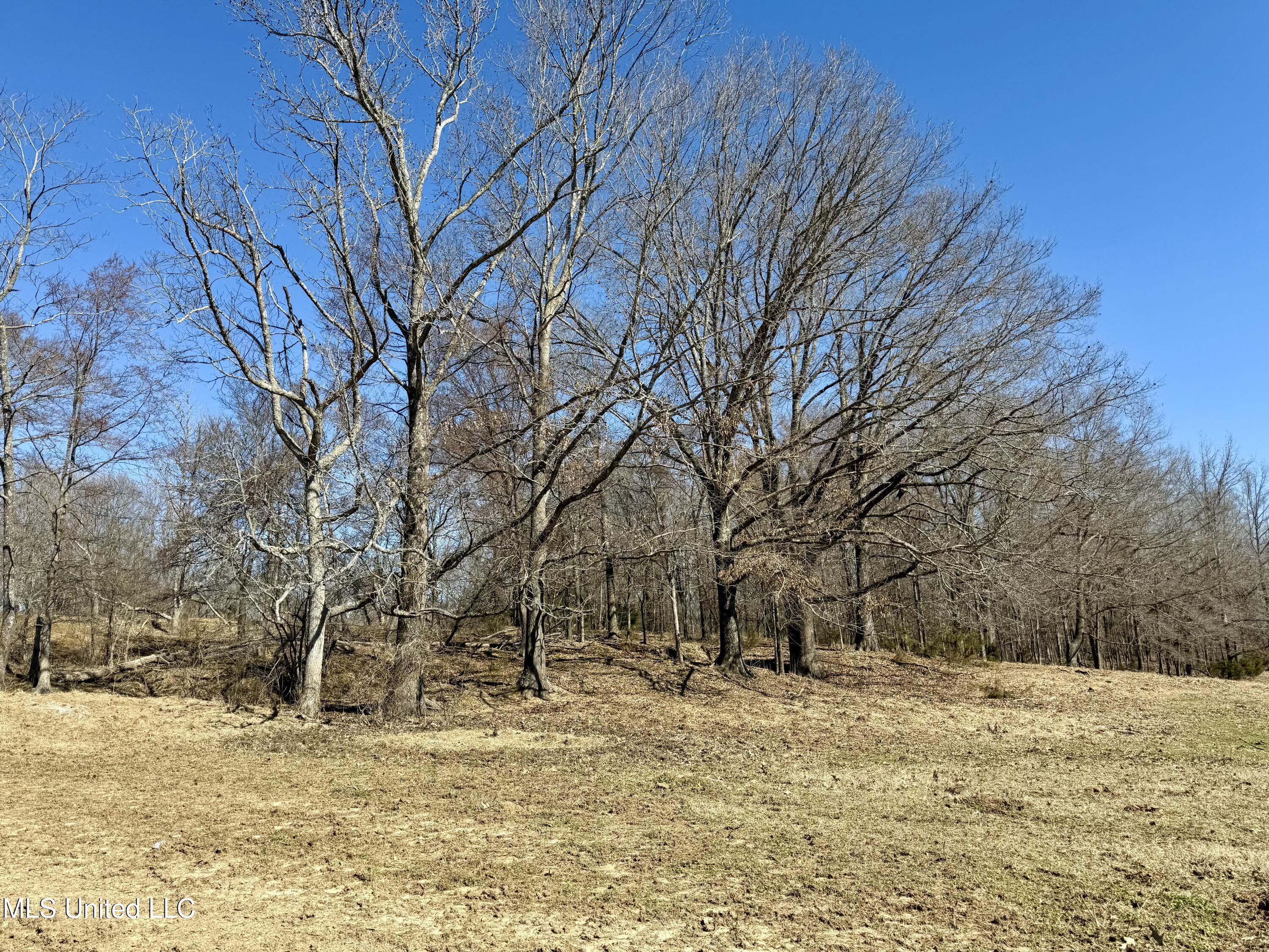Franks Road Coldwater, MS 38618 - Photo 3 of 24 IMG_0589
