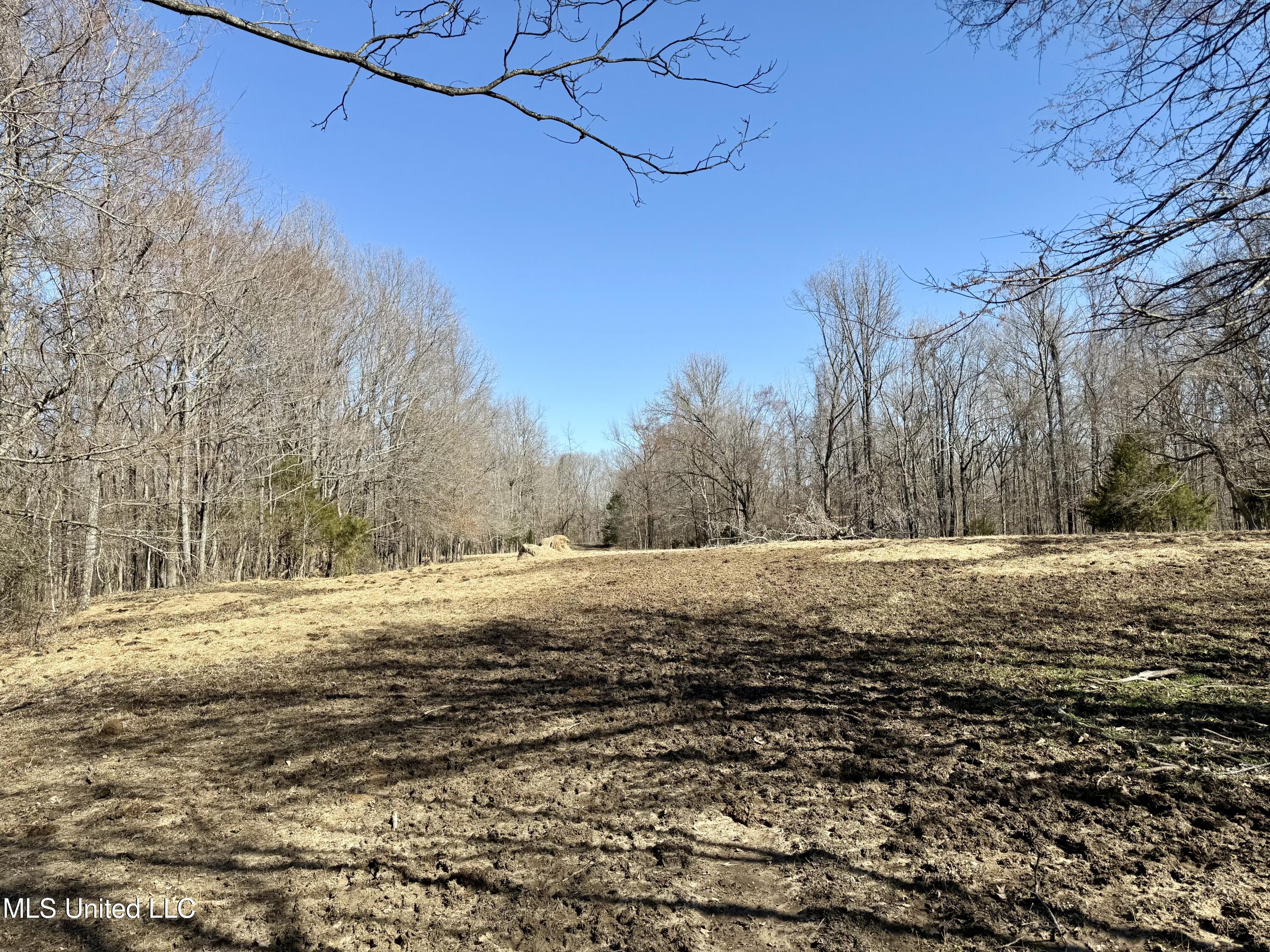 Franks Road Coldwater, MS 38618 - Photo 4 of 24 IMG_0591