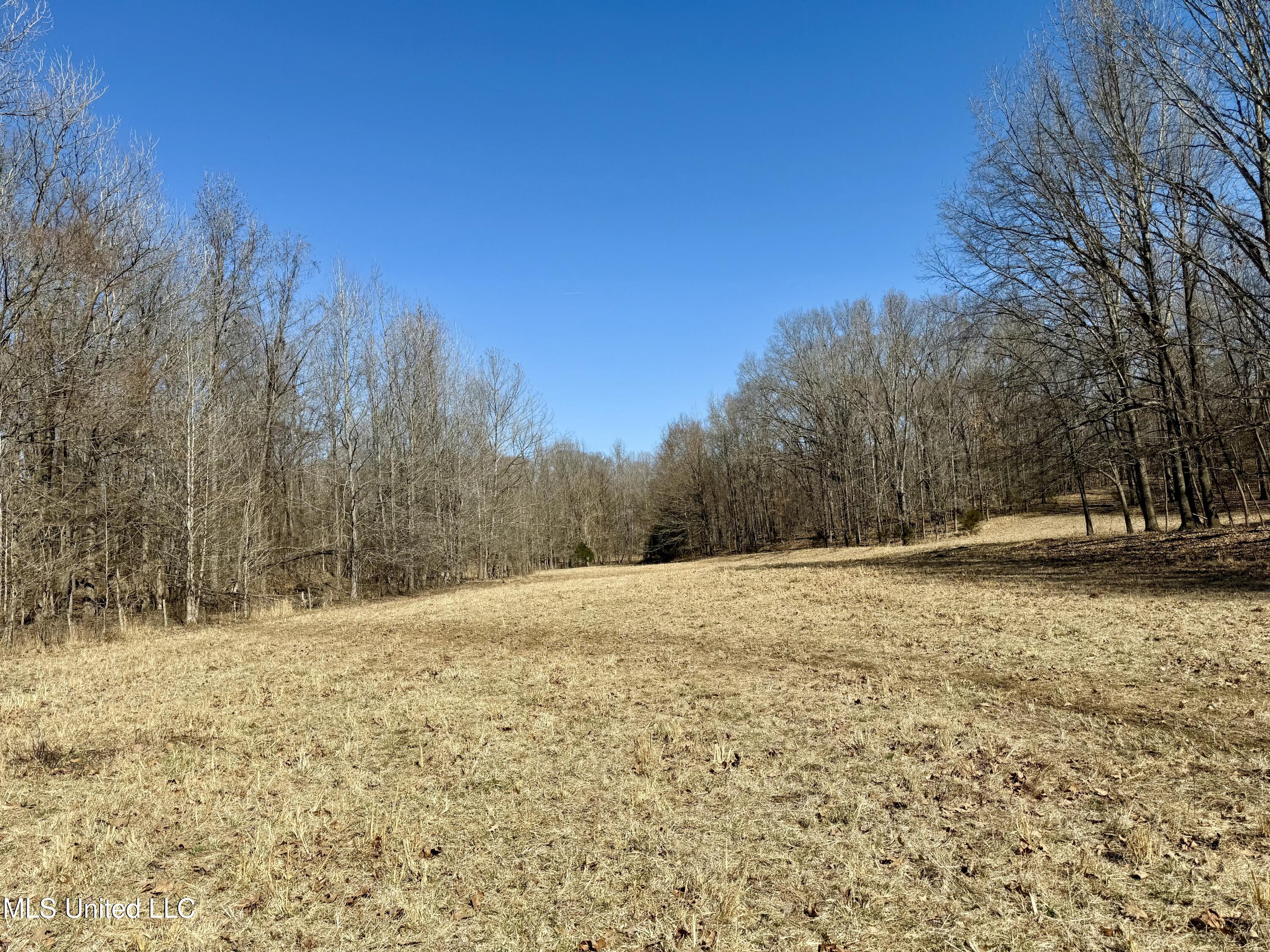 Franks Road Coldwater, MS 38618 - Photo 8 of 24 IMG_0596
