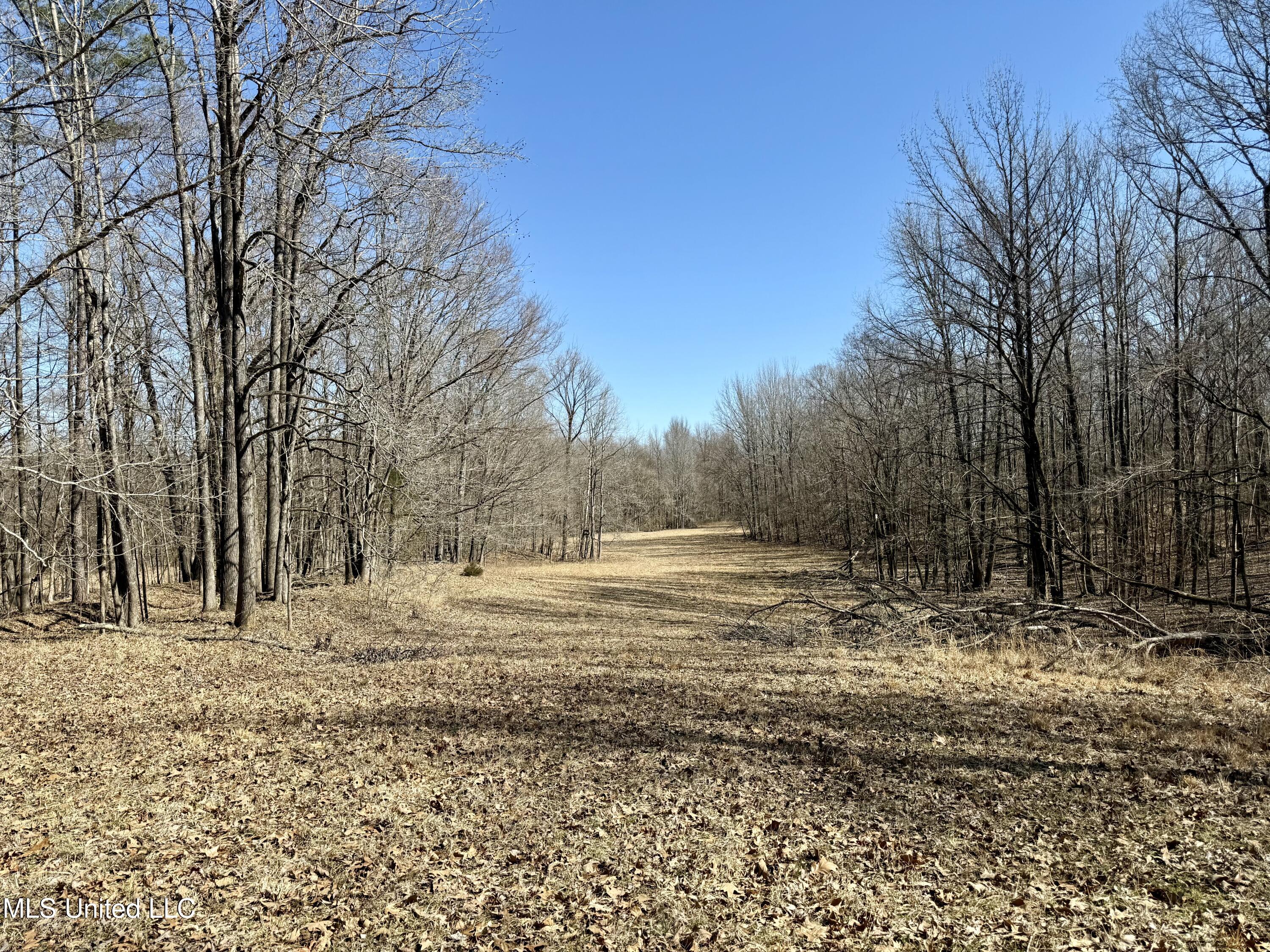 Franks Road Coldwater, MS 38618 - Photo 9 of 24 IMG_0598