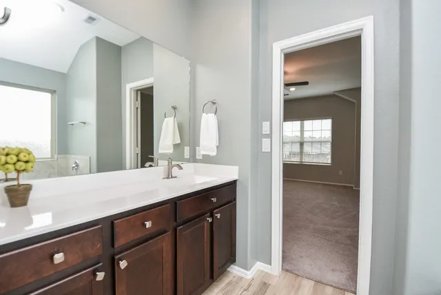a bathroom with a sink and a mirror