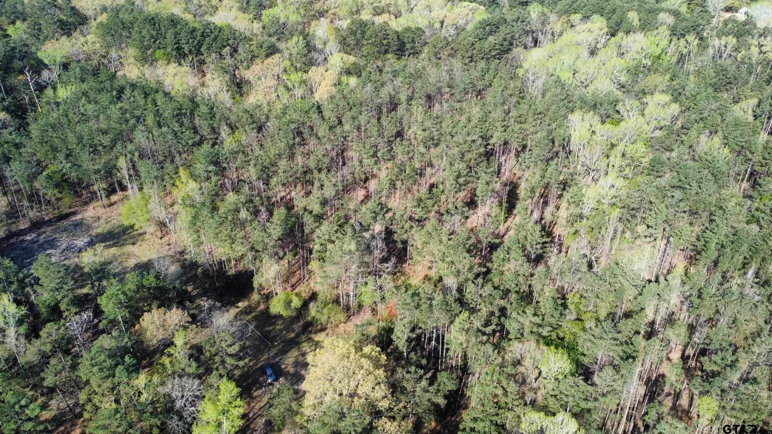 0 C R 434 Lindale, TX 75771 - Photo 21 of 29