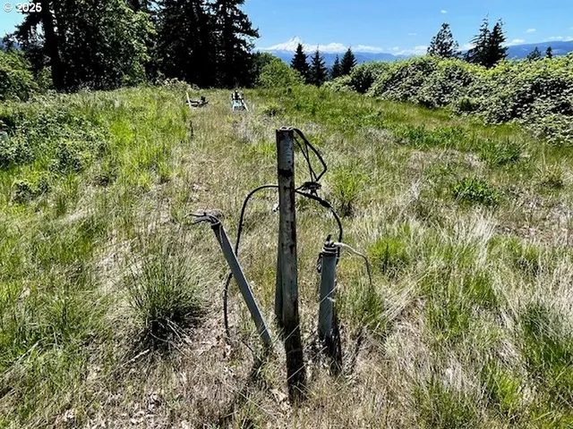 a view of a field of grass and trees
