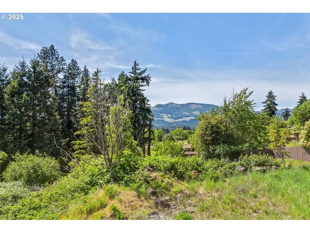 a view of a big yard with plants and a bench