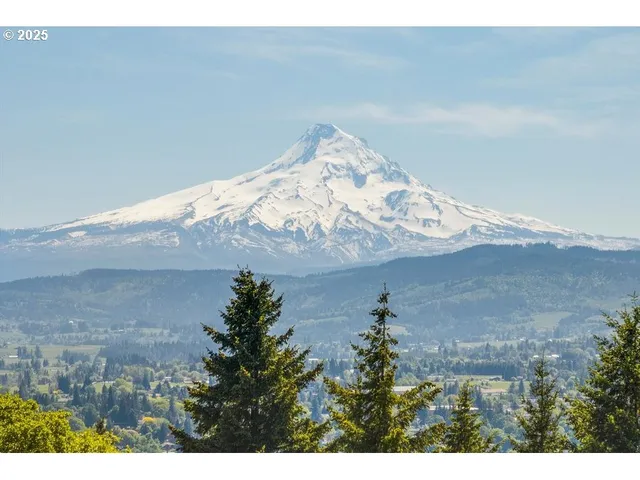 a view of a garden with an outdoor space