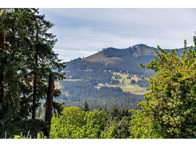 a view of a lush green space with sea