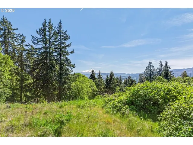 a view of swimming pool of water and mountain view