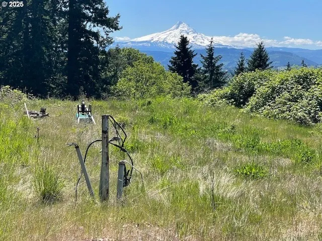 a view of a house with a lush green forest