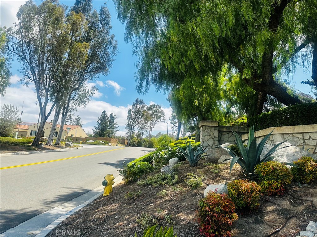 11056 Orchard View Lane Riverside, CA 92503 - Photo 4 of 10 Orchard View Street View